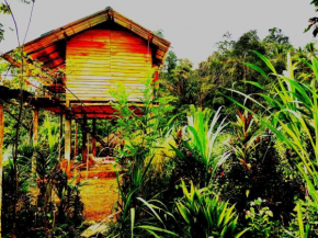 Aqua Cabins